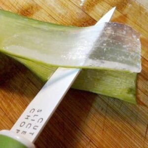 Aloe vera - Image 5